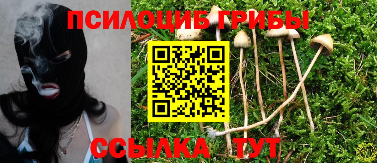 Псилоцибиновые грибы Cubensis  Вход с VPN  Моздок 